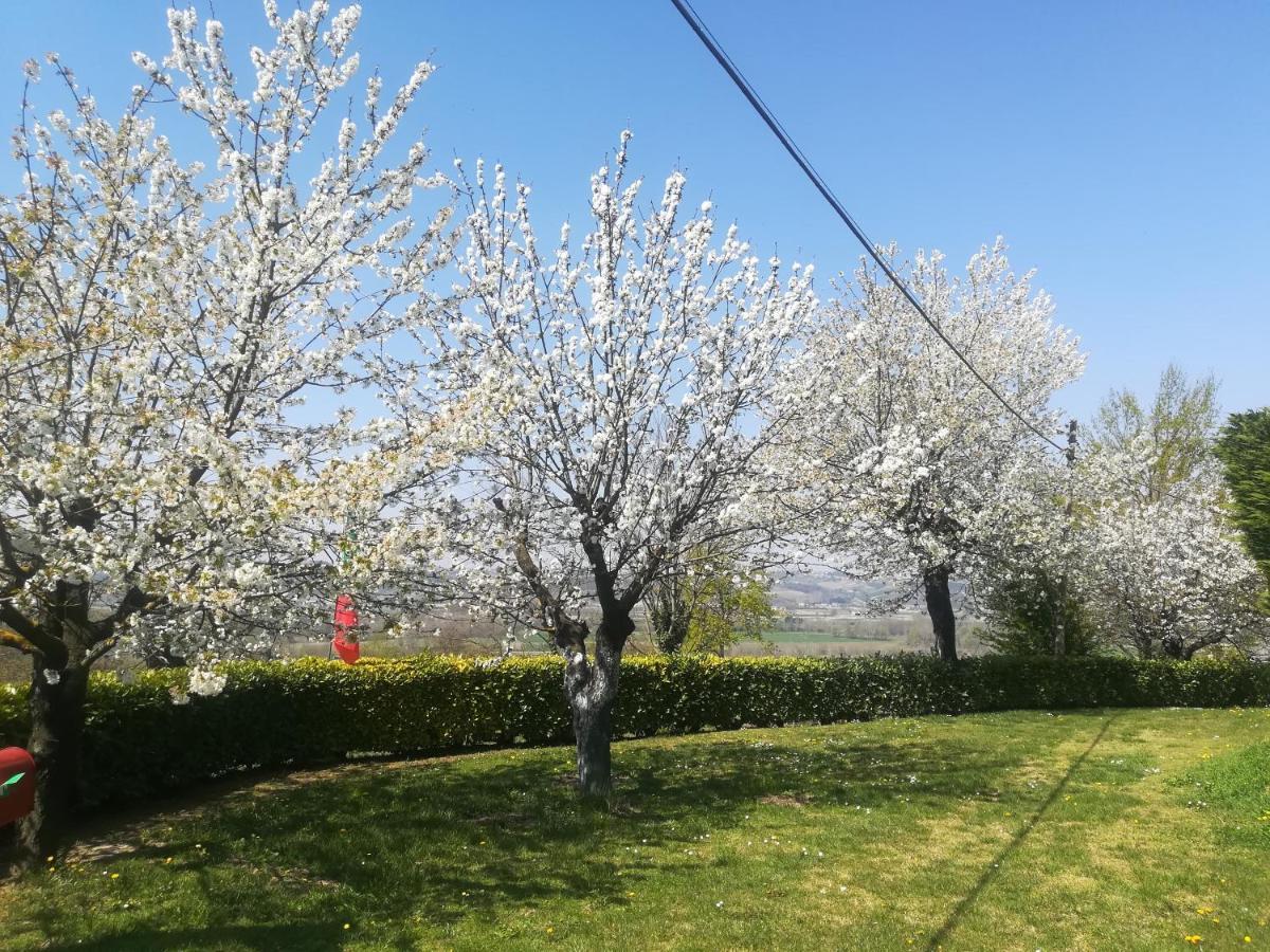 Locazione Turistica Cascina Pela Apartman Castagnole delle Lanze Kültér fotó